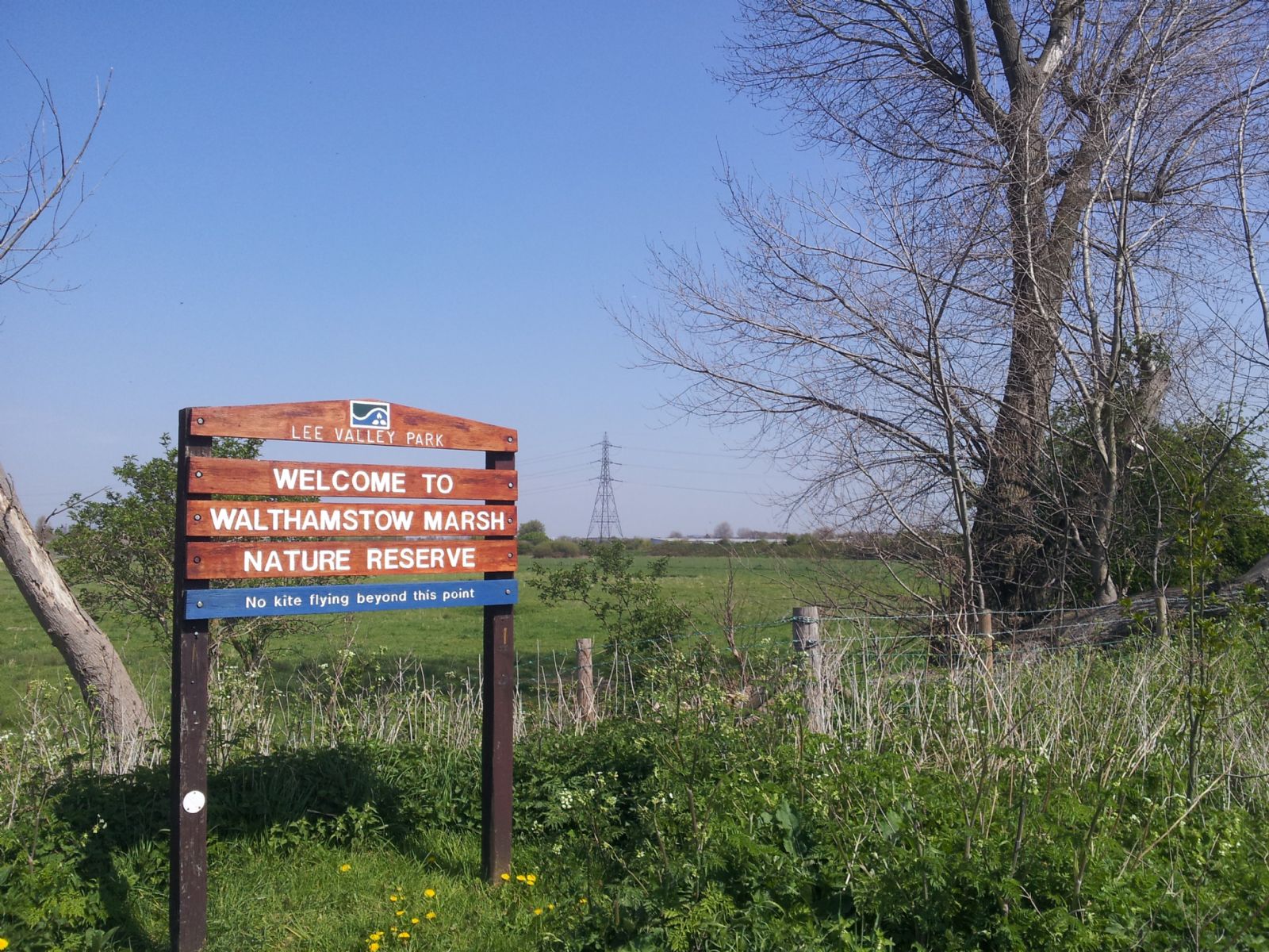 Walthamstow Marshes